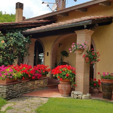 Villaspino Capolona Luaran gambar