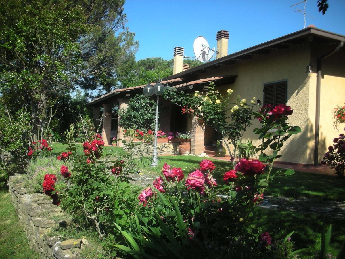 Villaspino Capolona Luaran gambar