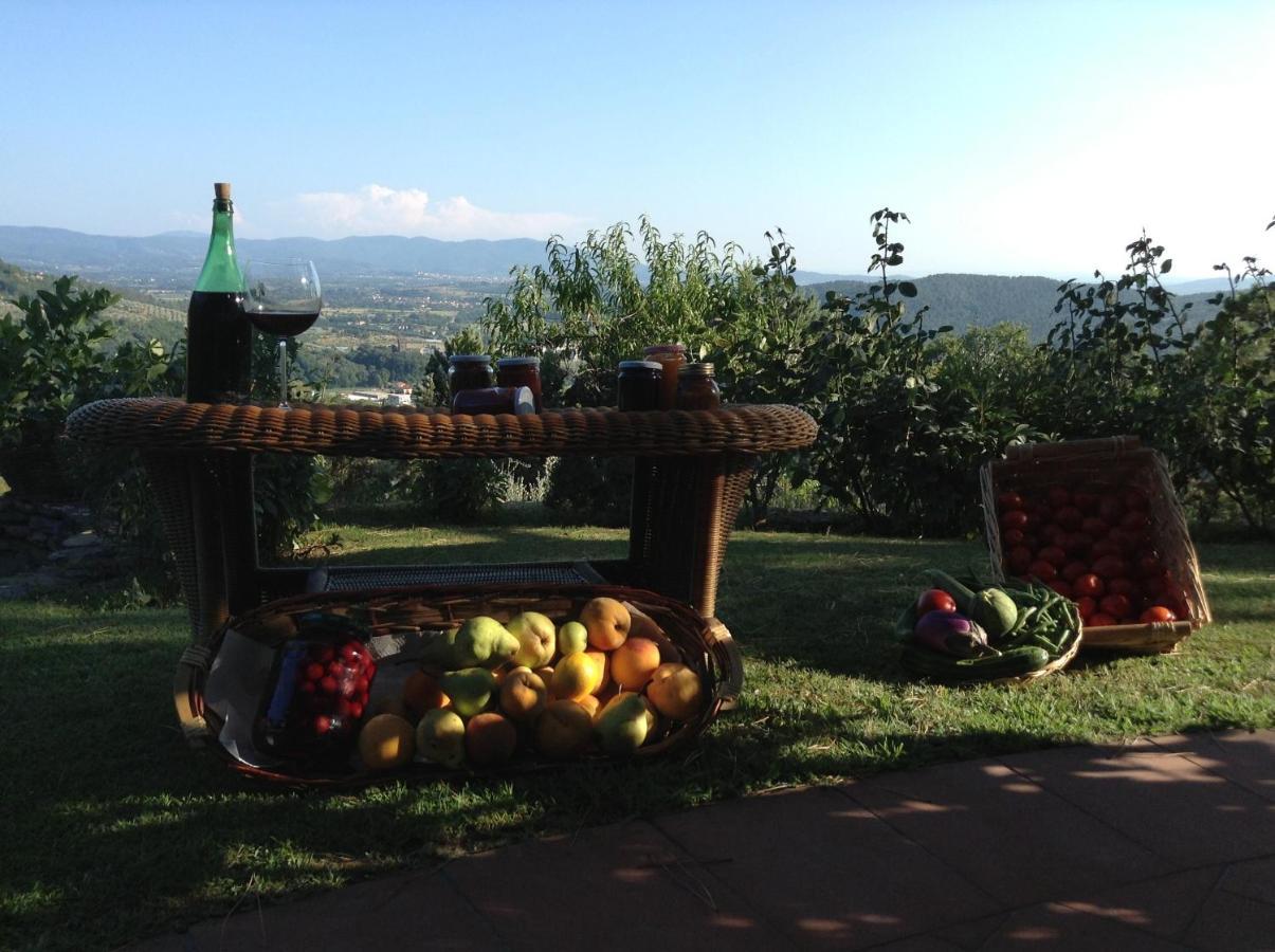 Villaspino Capolona Luaran gambar