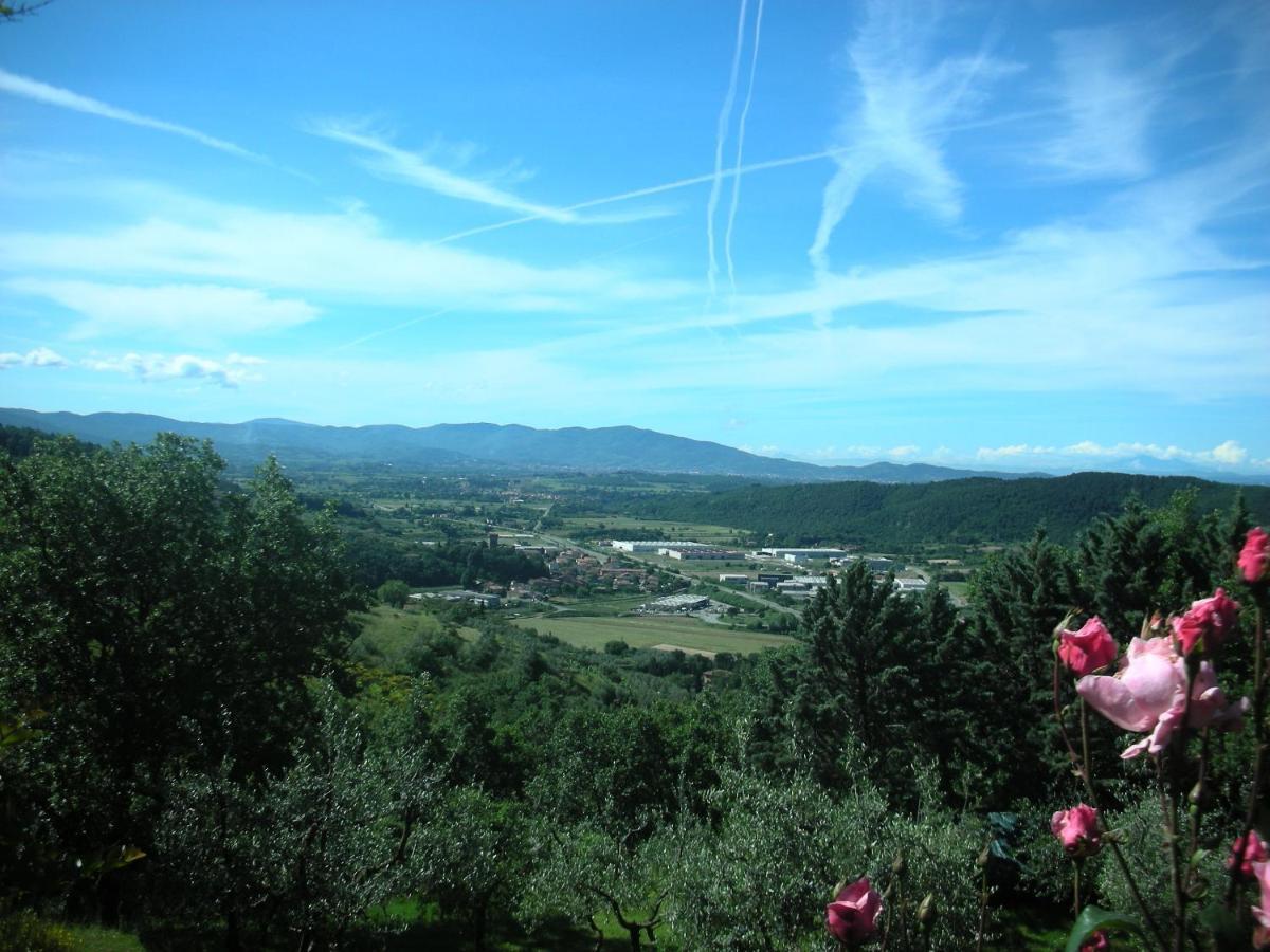 Villaspino Capolona Luaran gambar