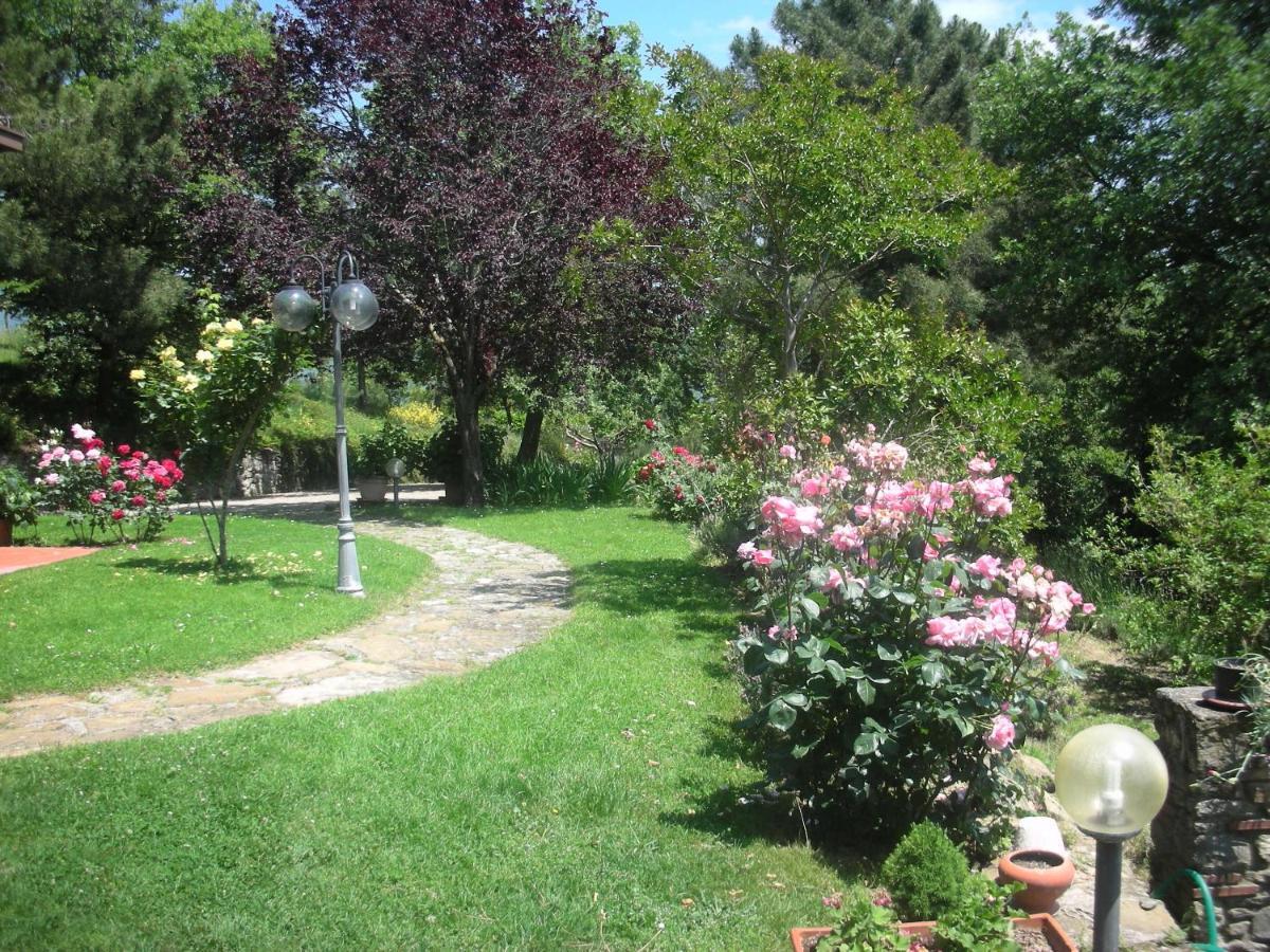 Villaspino Capolona Luaran gambar