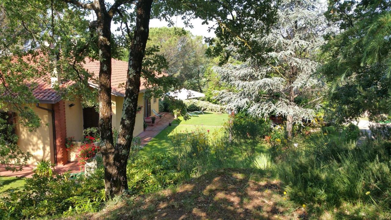 Villaspino Capolona Luaran gambar