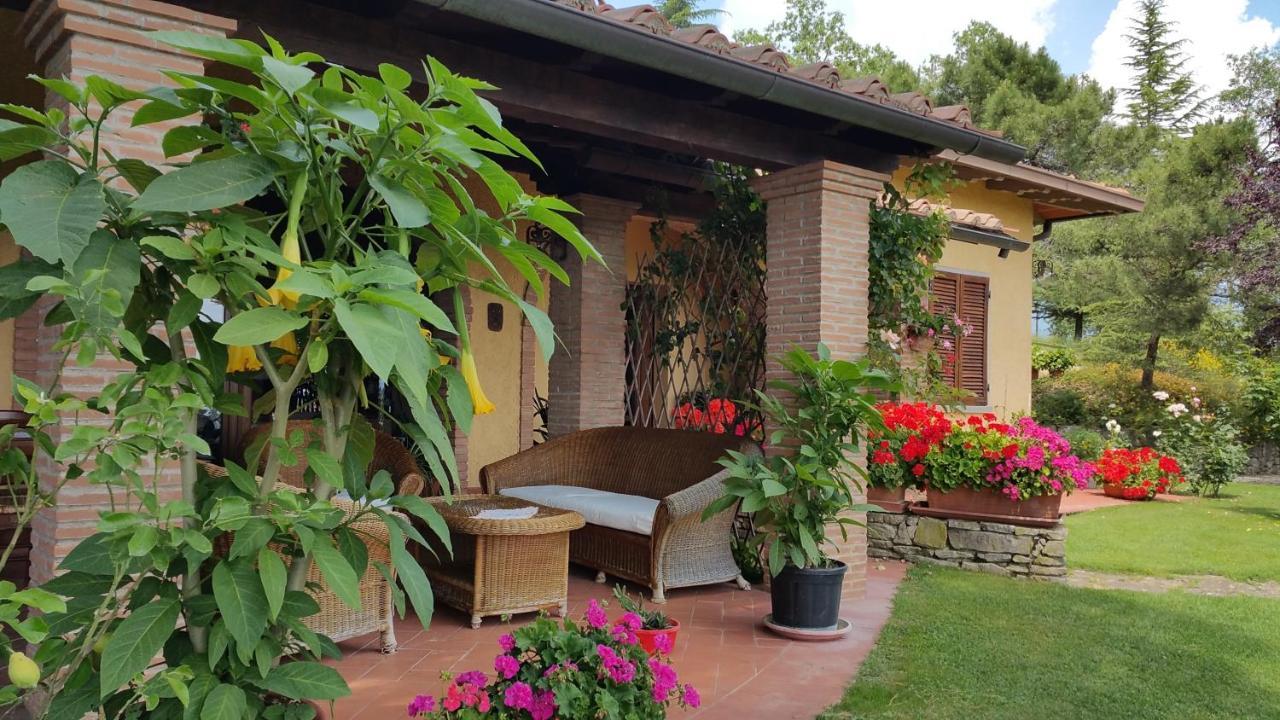 Villaspino Capolona Luaran gambar