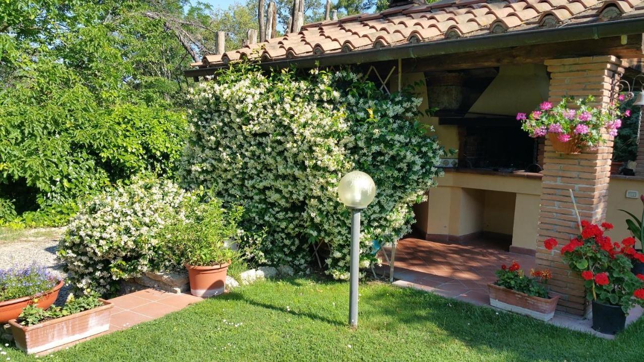 Villaspino Capolona Luaran gambar
