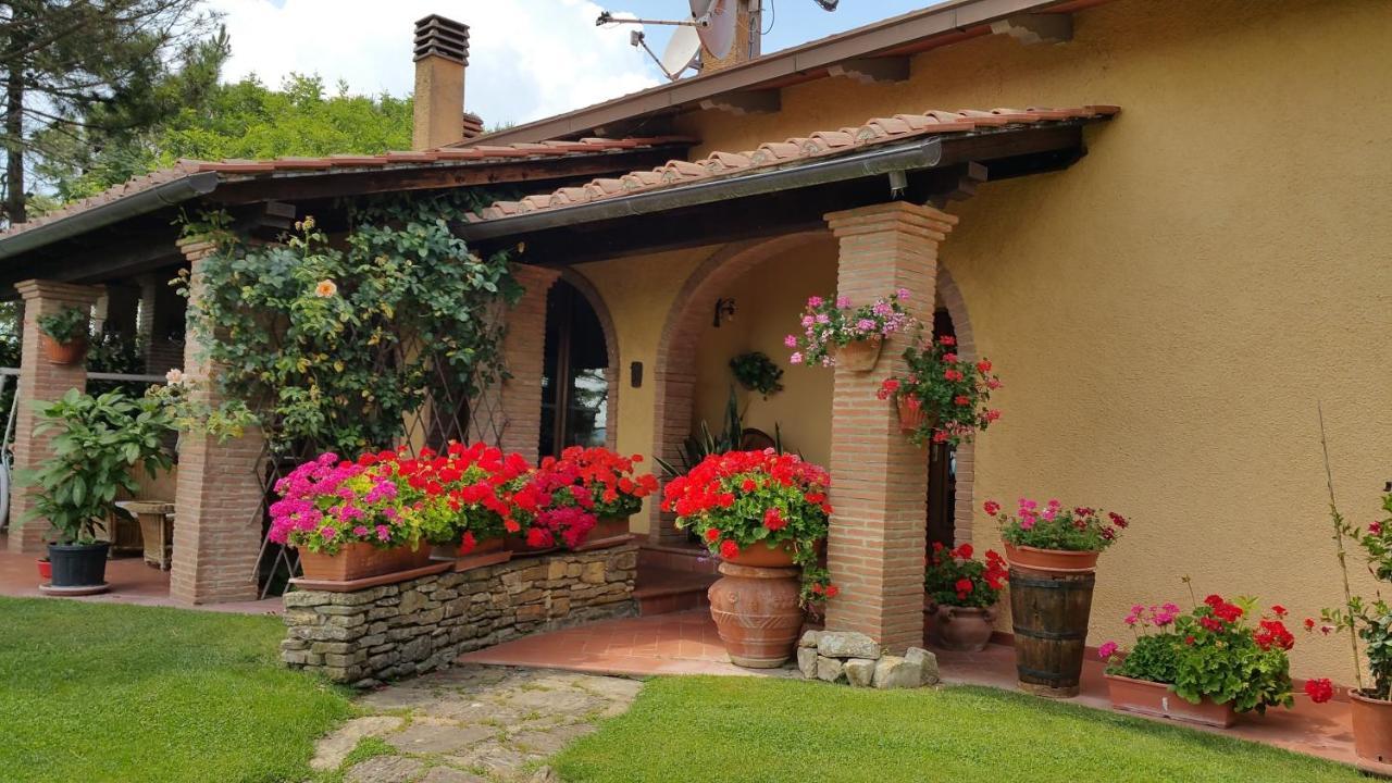 Villaspino Capolona Luaran gambar