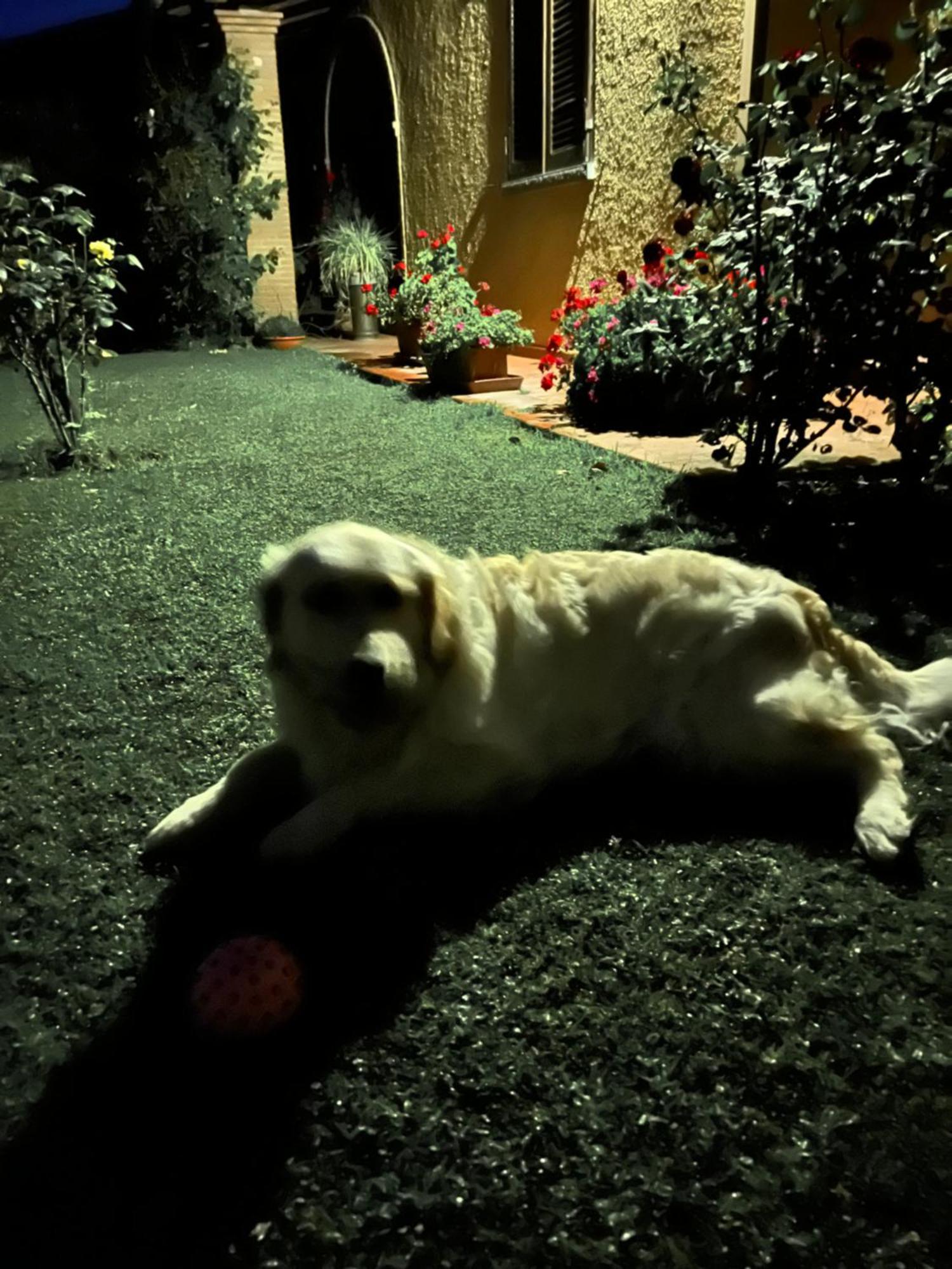 Villaspino Capolona Luaran gambar