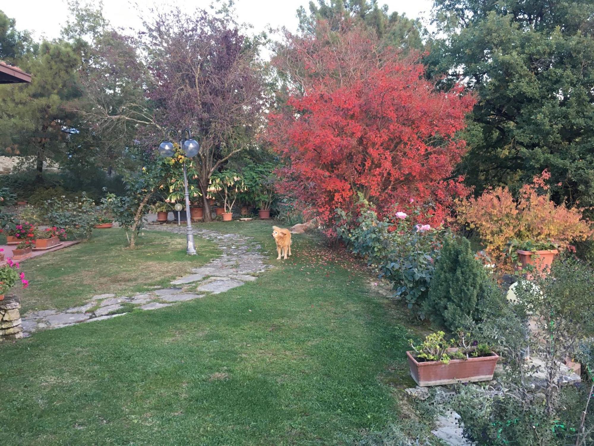 Villaspino Capolona Luaran gambar
