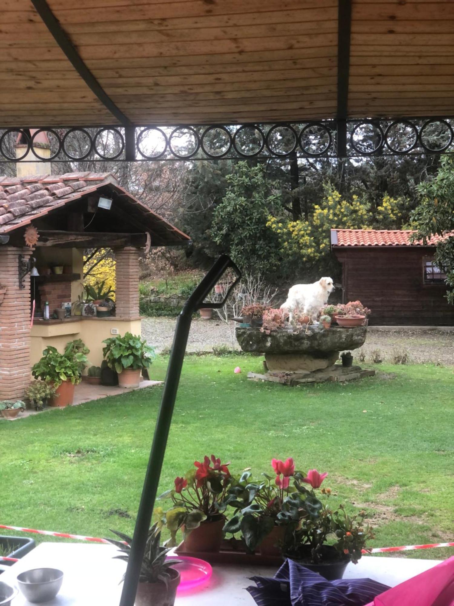 Villaspino Capolona Luaran gambar