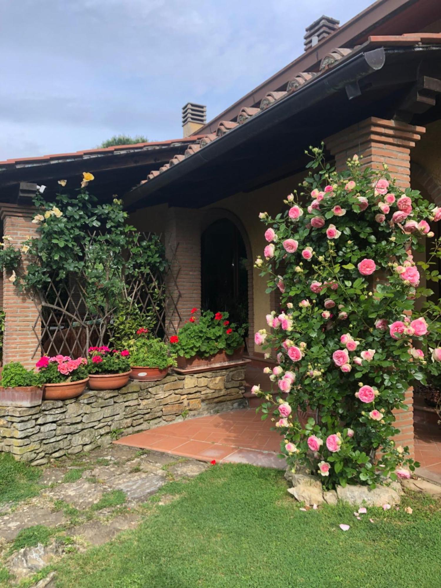 Villaspino Capolona Luaran gambar