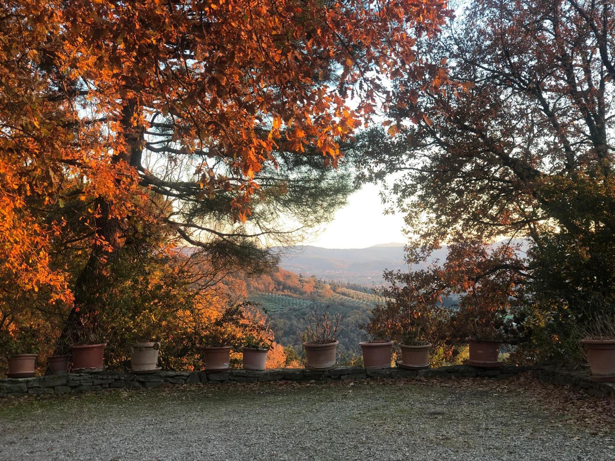 Villaspino Capolona Luaran gambar